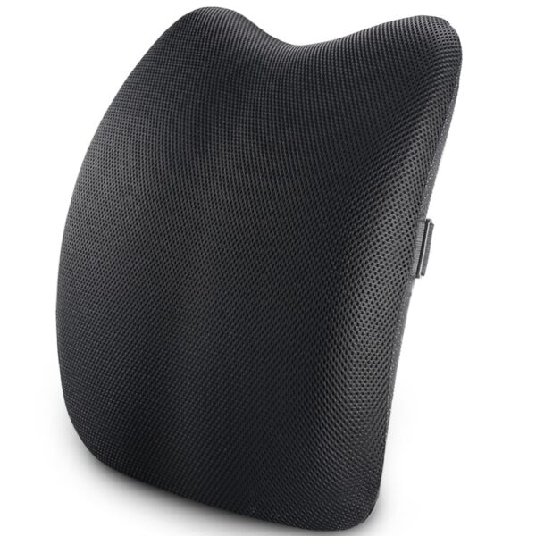 Lumbar Support Back Cushion,Back Pillow for Office Chair and Car Seat,Ergonomic Pillow Memory Foam Orthopedic Backrest for Couch