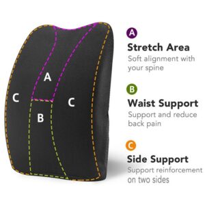 Lumbar Support Back Cushion,Back Pillow for Office Chair and Car Seat,Ergonomic Pillow Memory Foam Orthopedic Backrest for Couch